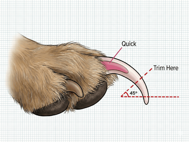 Diagram showing correct 45-degree cutting angle with annotations