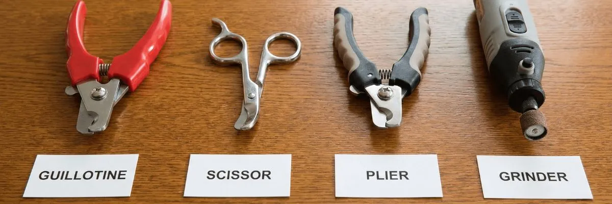 Various types of small dog nail clippers laid out side by side (guillotine, scissor, plier, grinder) with labels